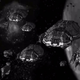 Image for article titled Surprise, A Long-Lost Homeworld Game Is Now For Sale Again